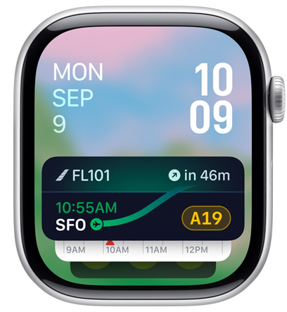 Apple Watch 螢?zāi)伙@示家居 app 小工具