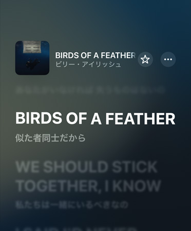 Apple Musicで再生されているビリー?アイリッシュによる「BIRDS OF A FEATHER」の歌詞の翻訳。英語から日本語に翻訳されている
