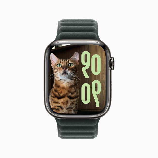 Apple Watch Series 9 的「照片」錶面顯示一隻虎斑貓。