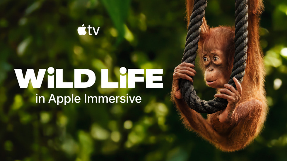 Apple Immersive 節(jié)目《野生世界》 宣傳照。