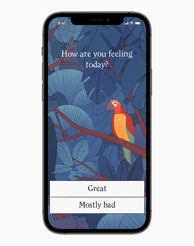 iPhone 12 Pro’da “Bird Alone” oyunu g?steriliyor.