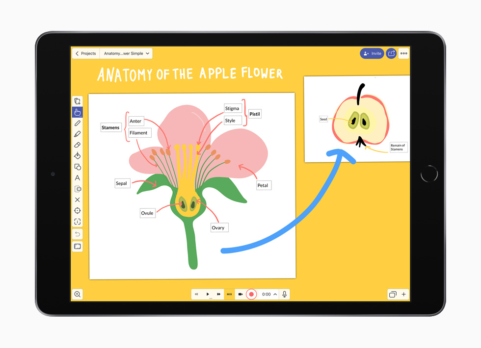 iPad’de Explain Everything Whiteboard uygulamas?.