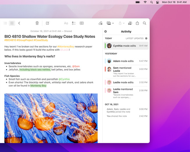 macOS Monterey’deki Notlar uygulamas?n?n yeni Aktivite g?rünümü MacBook Air’de g?steriliyor.