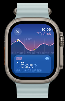 潮汐 app 顯示漲潮、退潮、滿潮和乾潮資訊。