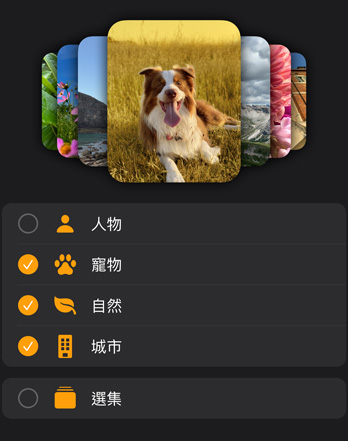 多款 Apple Watch 照片錶面疊放在過濾條件選單上方。