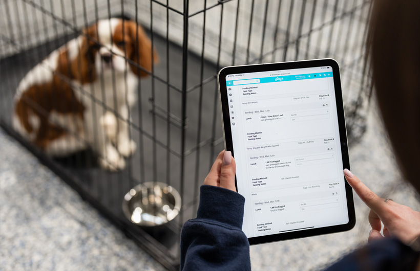 有了 iPad，寵物照護(hù)員可以使用 Gingr 這款寵物業(yè)務(wù)管理 app，即時(shí)更新寵物狀況，例如食物和藥物攝取量。