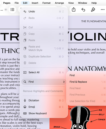 Close up of menu bar with options for Undo, Redo, Cut, Copy, Paste and more